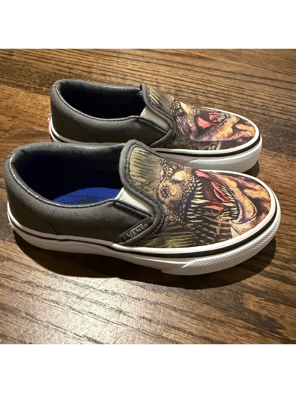 New Vans Off The Wall Classic T-Rex Graphic Slip On Kid's Sneakers Size 11